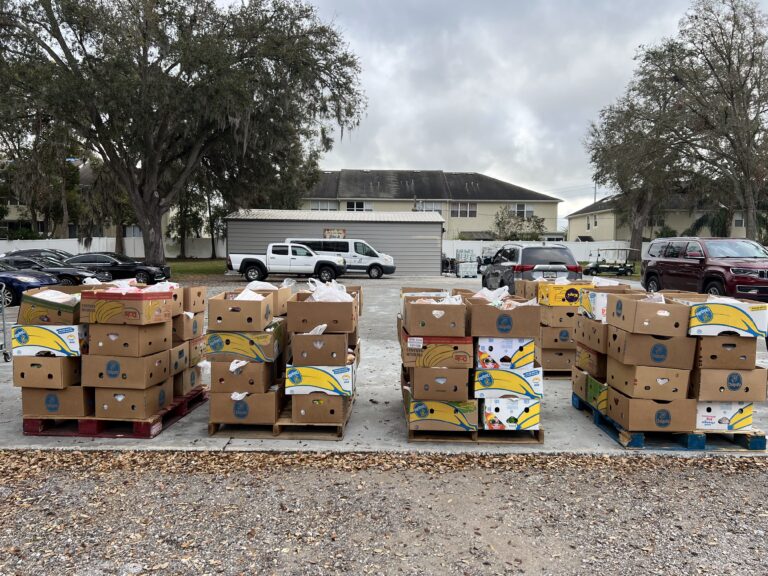 Tampa community outreach programs youth mentoring